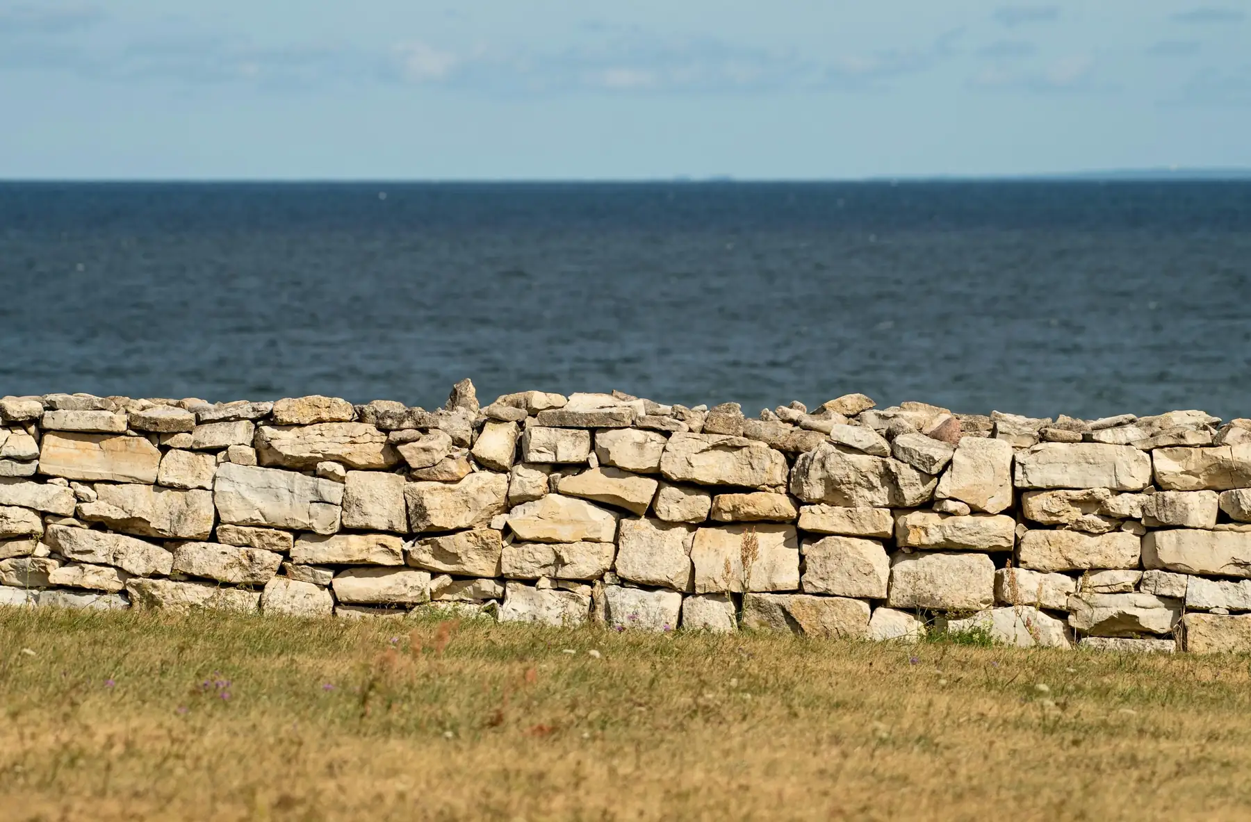 Muret de pierre sèche au bord d’un pré, l’océan à l’horizon